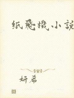 纸飞机小说