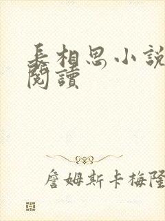 长相思小说免费阅读封面