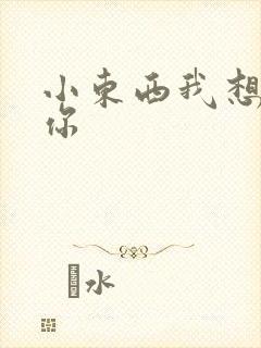 小东西我想弄坏你