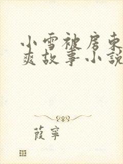 小雪被房东的好爽故事小说封面