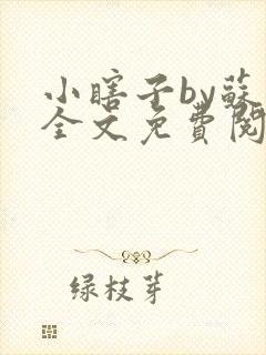 小瞎子by苏软全文免费阅读