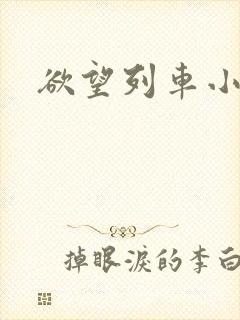 欲望列车小说