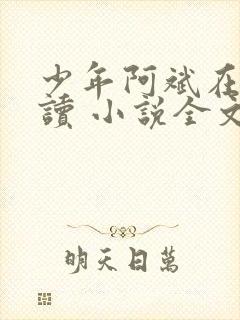 少年阿斌在线阅读 小说全文免费