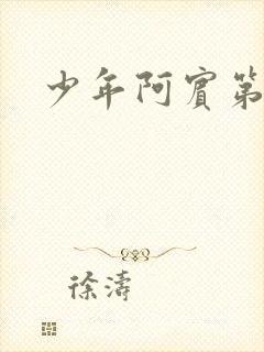 少年阿宾第二部