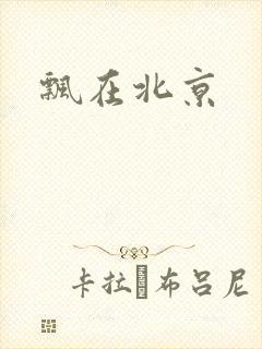 飘在北京封面