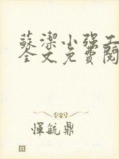 苏洁小强工地情全文免费阅读