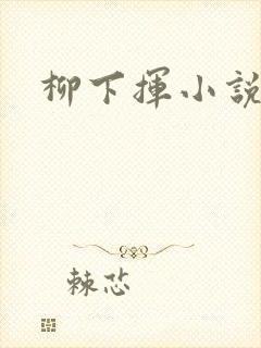 柳下挥小说封面