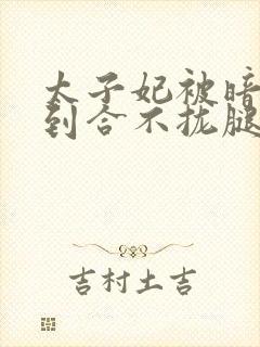 太子妃被暗卫C到合不拢腿封面