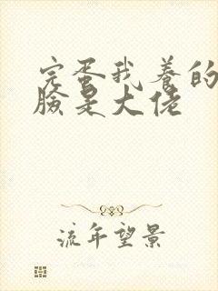 完蛋我养的小白脸是大佬