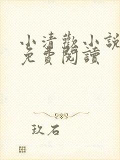 小清欢小说全文免费阅读