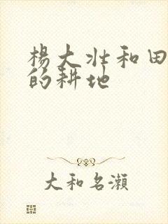 杨大壮和田桂花的耕地