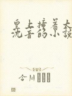 皇上撞着太子妃沈音的小说叫什么