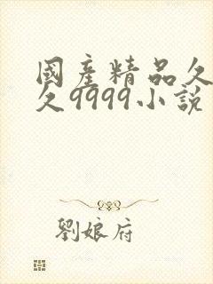 国产精品久久久久9999小说