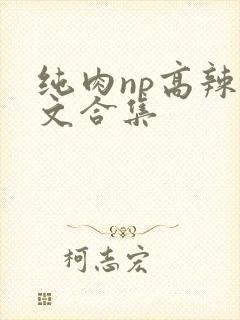 纯肉np高辣h文合集