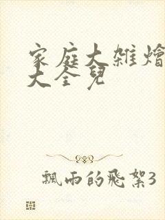 家庭大杂烩小说大全儿