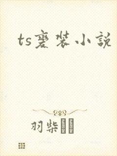ts变装小说
