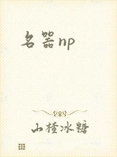 名器np