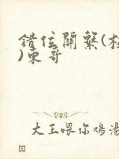 错位关系(校园)东哥