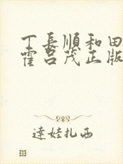 丁长顺和田晓兰霍吕茂正版