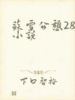 苏雪公憩28篇小说