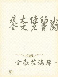 疯大佬的小玩物全文免费阅读小说