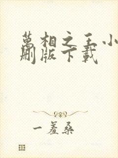 万相之王小说未删版下载