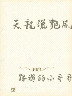 天龙猎艳风流