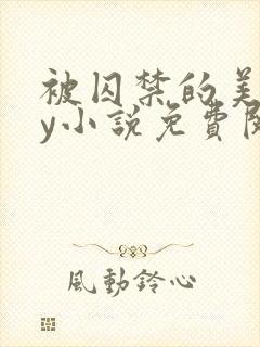 被囚禁的美人by小说免费阅读