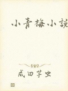 小青梅小说