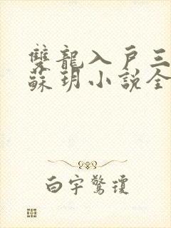 双龙入户三人行苏玥小说全文阅读