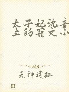 太子妃沈音和皇上的宠文小说封面