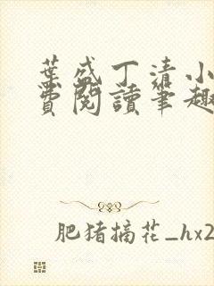 叶盛丁清小说免费阅读笔趣阁