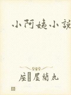小阿姨小说