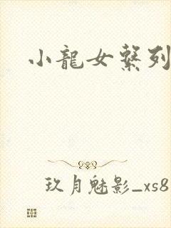 小龙女系列小说