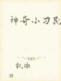 神奇小刁民