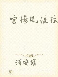 官场风流往事封面
