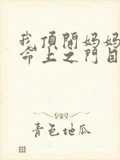 我顶开妈妈的生命上之门目录