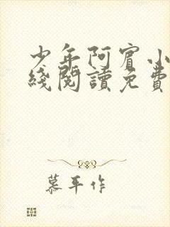 少年阿宾小说在线阅读免费全文