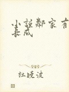 小说邻家有女初长成封面