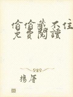 偷偷藏不住小说免费阅读