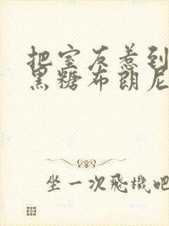 把室友惹到by黑糖布朗尼免费阅读笔趣封面