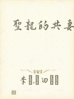 圣龙的共妻封面