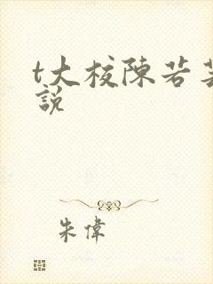 t大校陈若芸小说