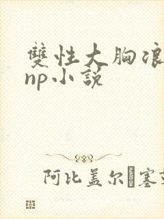 双性大胸浪荡受np小说