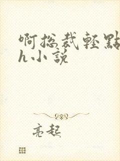 啊总裁轻点奶头h小说