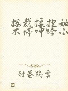 总裁揉捏她两乳不停呻吟小说封面