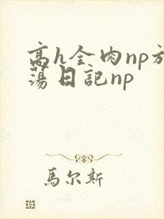 高h全肉np放荡日记np