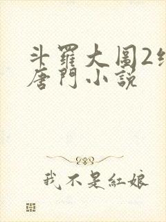 斗罗大图2绝世唐门小说封面