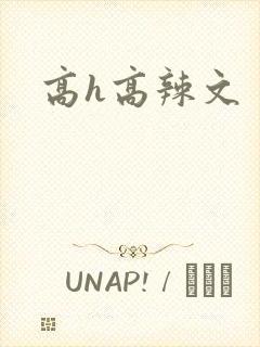高h高辣文封面