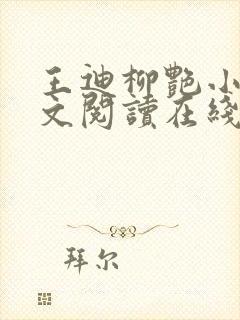 王迪柳艳小说全文阅读在线封面